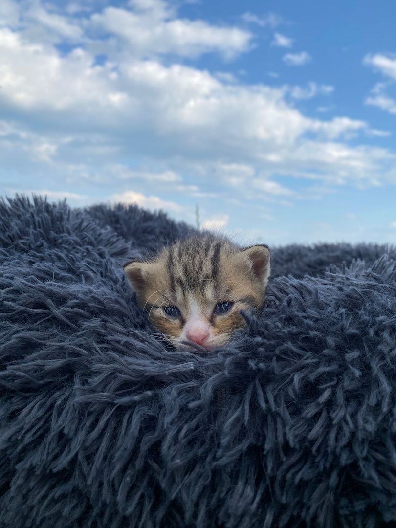 Frieda hat Babys bekommen ❤️