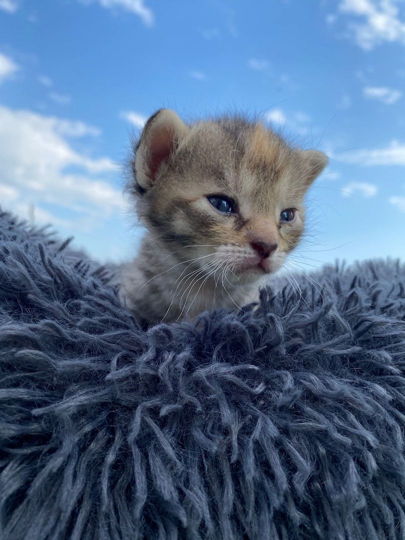 Frieda hat Babys bekommen ❤️