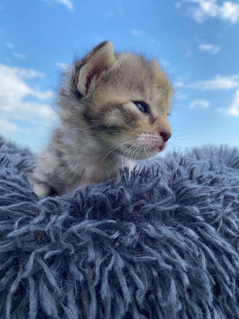 Frieda hat Babys bekommen ❤️