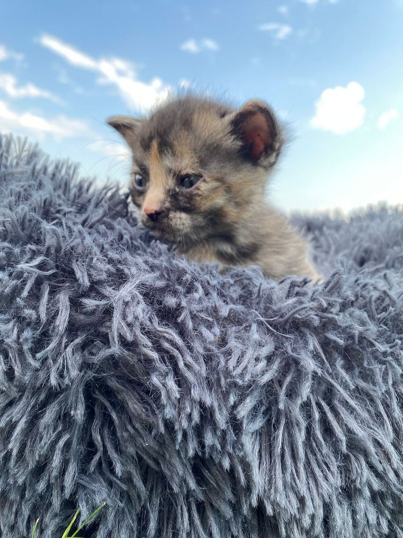 Frieda hat Babys bekommen ❤️