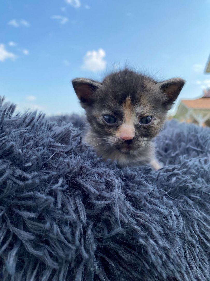 Frieda hat Babys bekommen ❤️