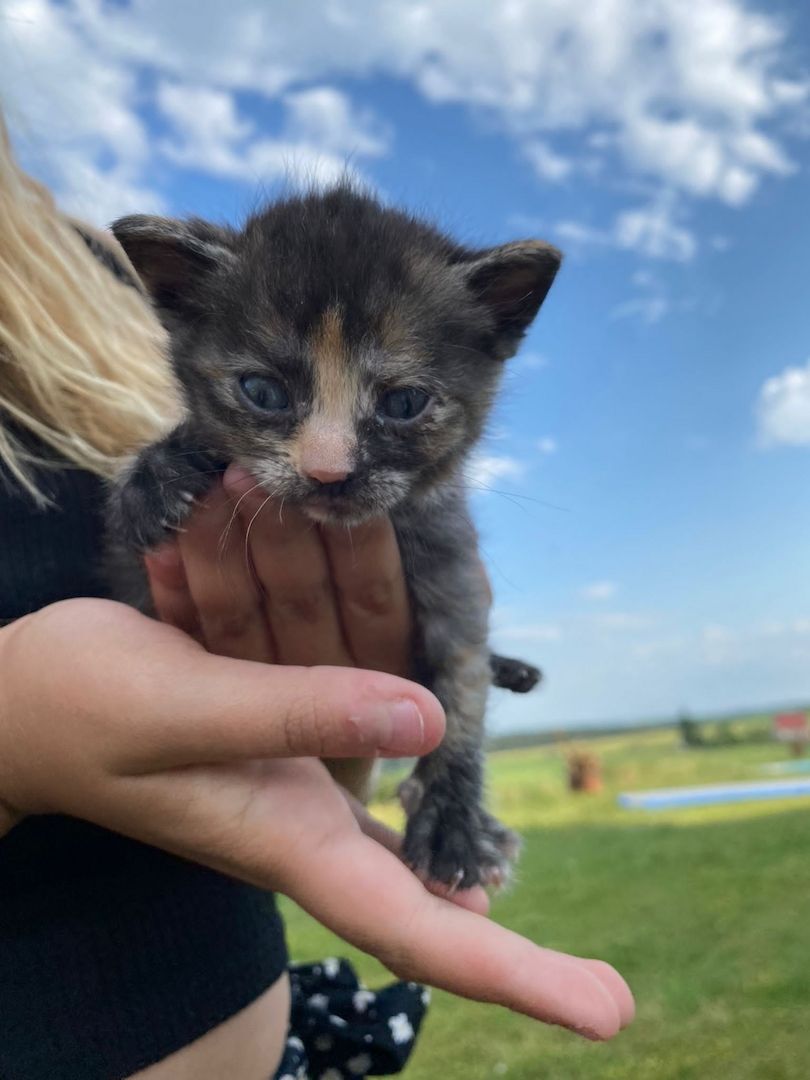 Frieda hat Babys bekommen ❤️