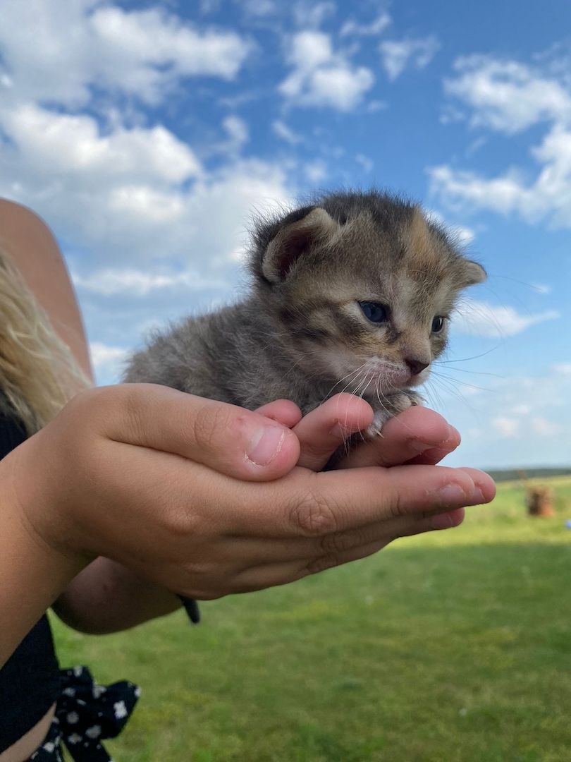 Frieda hat Babys bekommen ❤️