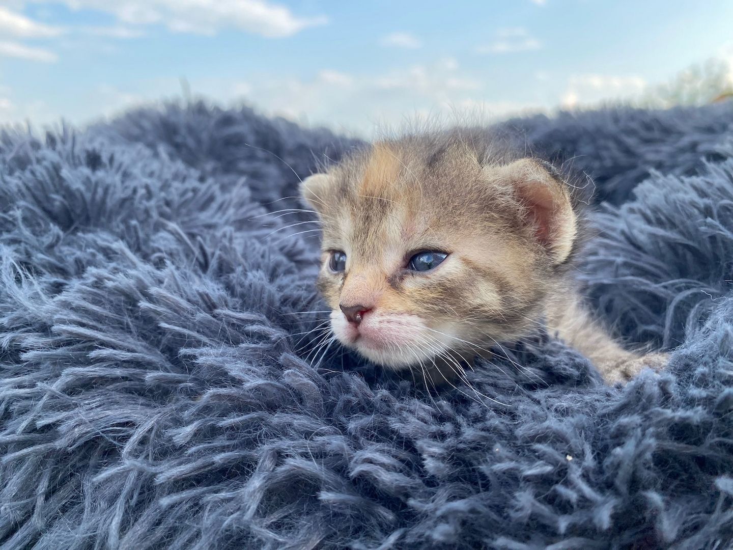 Frieda hat Babys bekommen ❤️