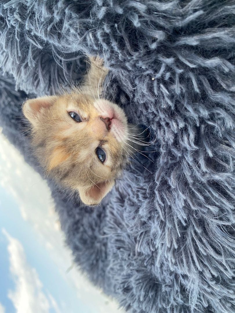 Frieda hat Babys bekommen ❤️