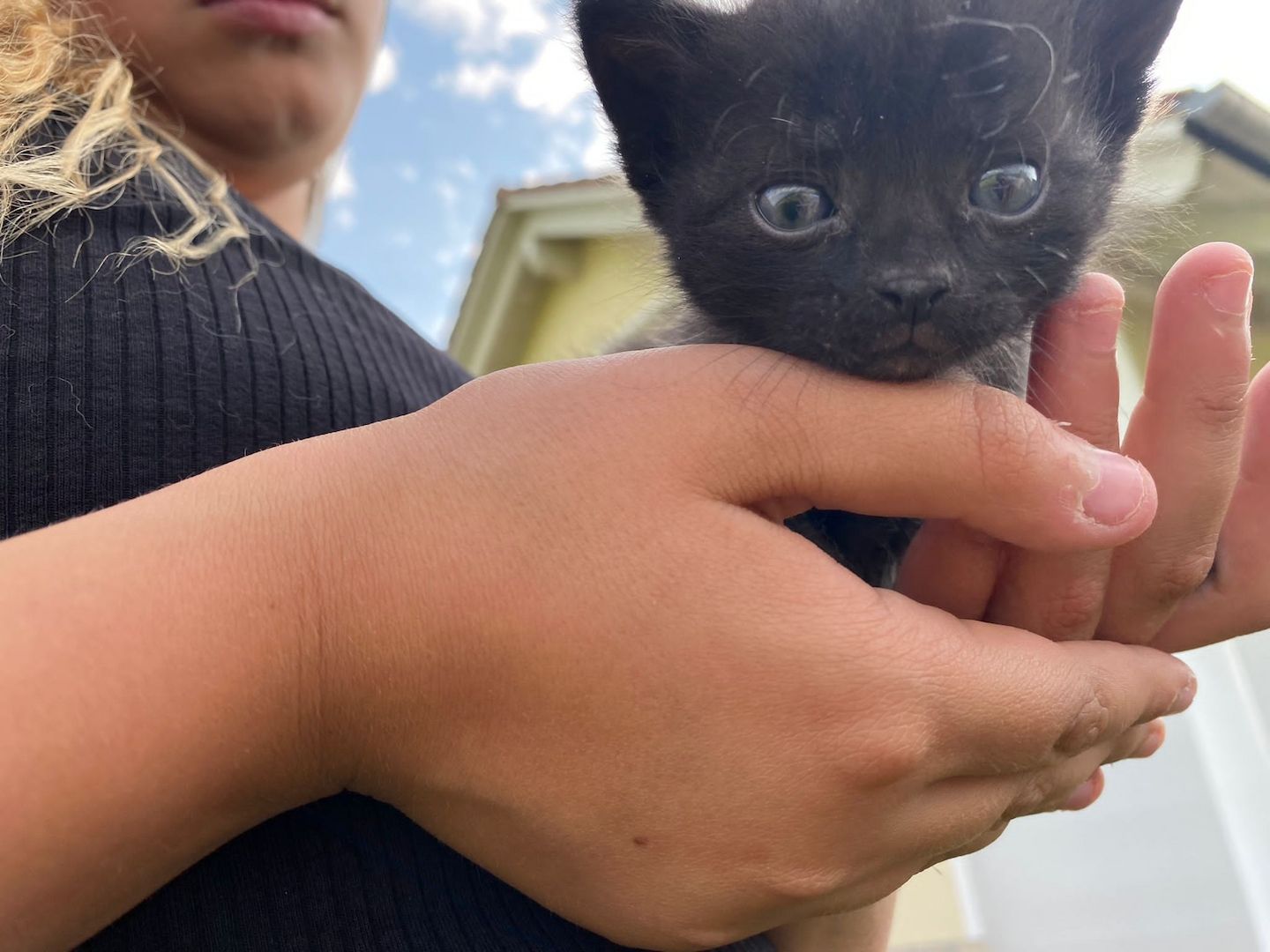 Frieda hat Babys bekommen ❤️