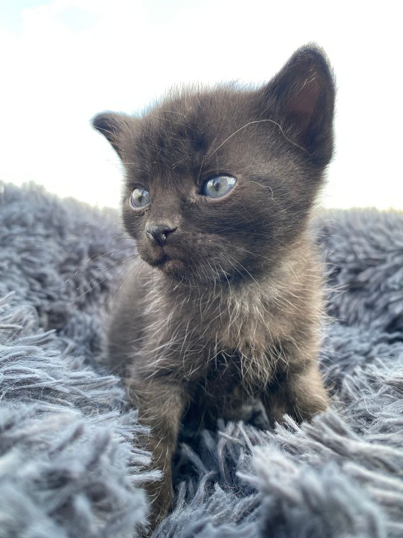 Frieda hat Babys bekommen ❤️