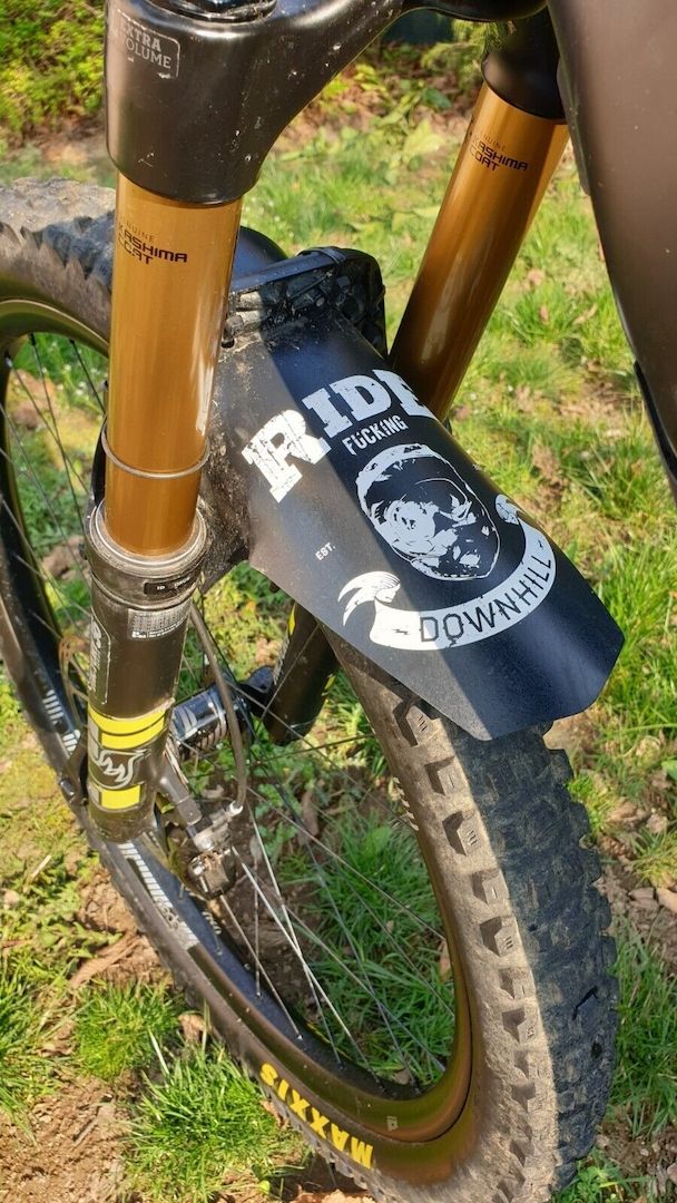 e-MTB Enduro YT Industries Decoy CF Pro Race, MY2019, Taglia Large