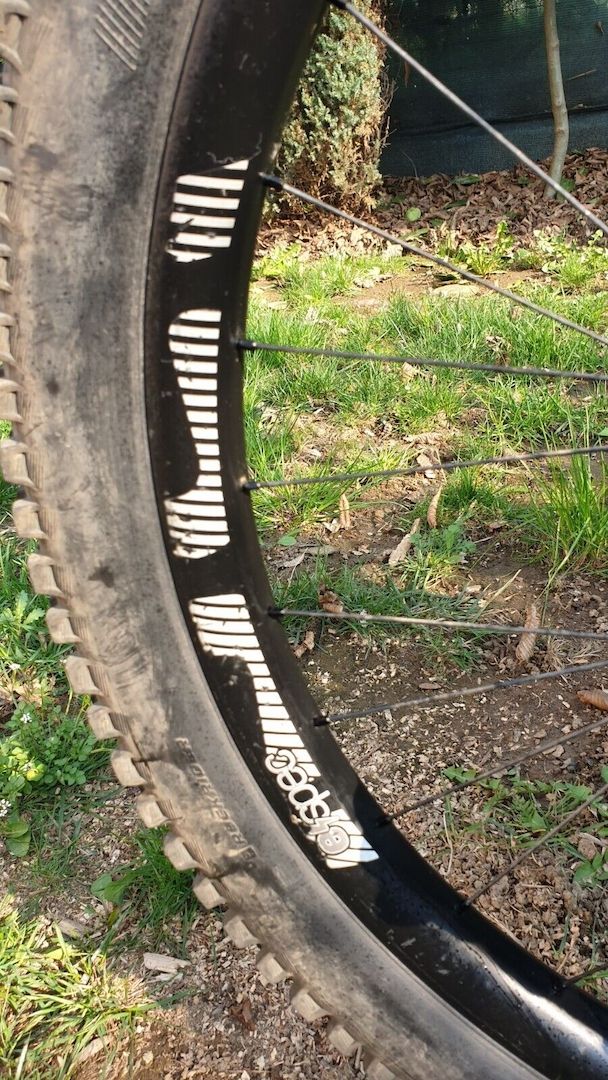 e-MTB Enduro YT Industries Decoy CF Pro Race, MY2019, Taglia Large