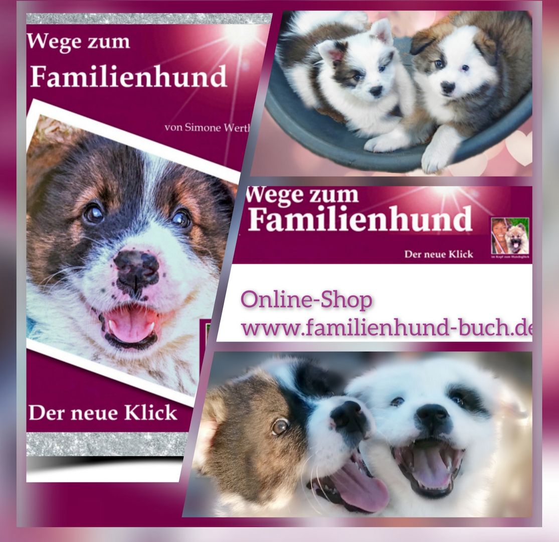 Buch Welpe, Hund, Mischling, Rasse Buch Welpe, Hund, Mischling, Rasse