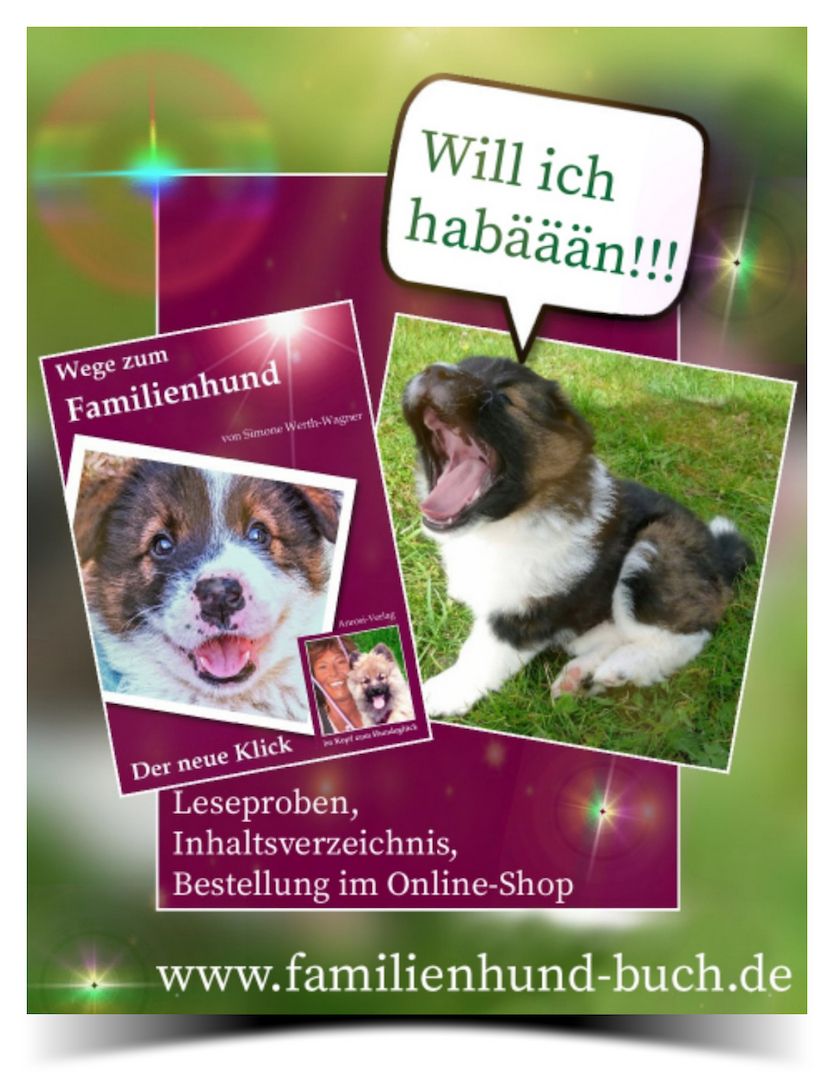 Buch Welpe, Hund, Mischling, Rasse Buch Welpe, Hund, Mischling, Rasse