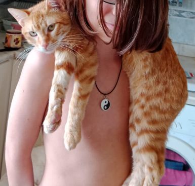 KALLI Kinderfreund Katze Kater Tiger rot kastriert geimpft