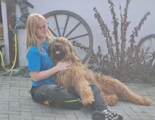 Briard -Hütehunde -Welpen