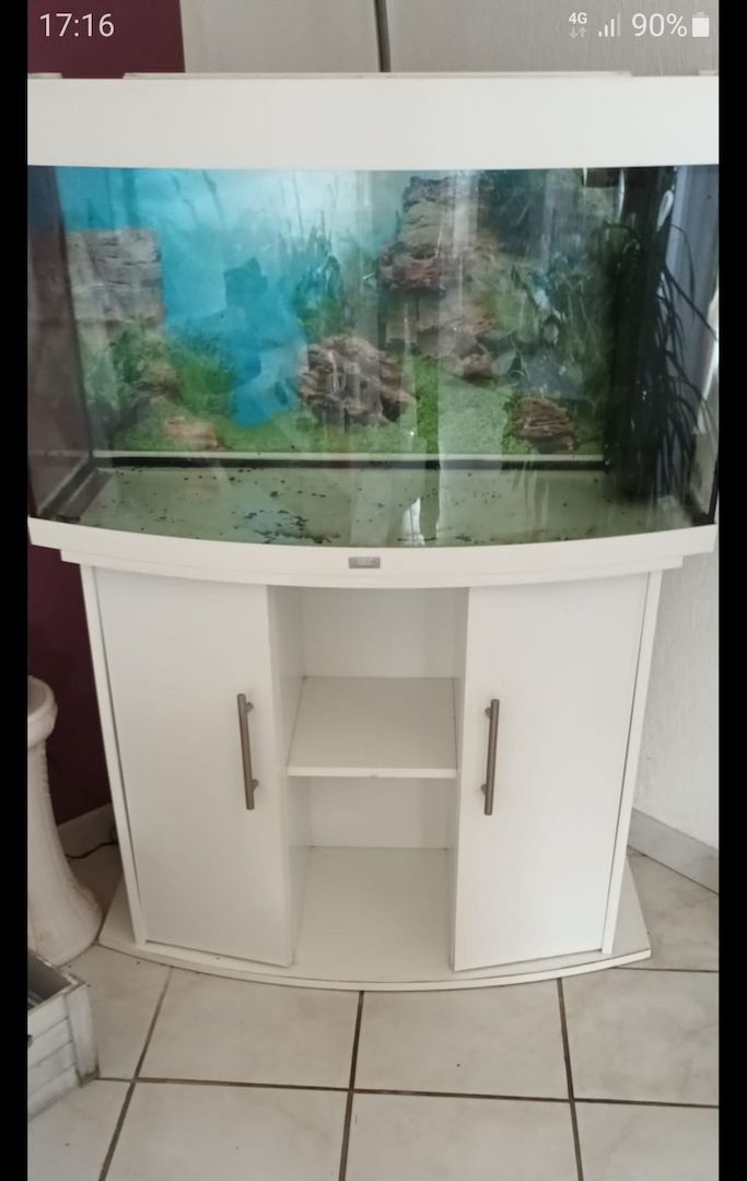 Juwel Aquarium mit gewölbter Scheibe Juwel Aquarium mit gewölbter Scheibe