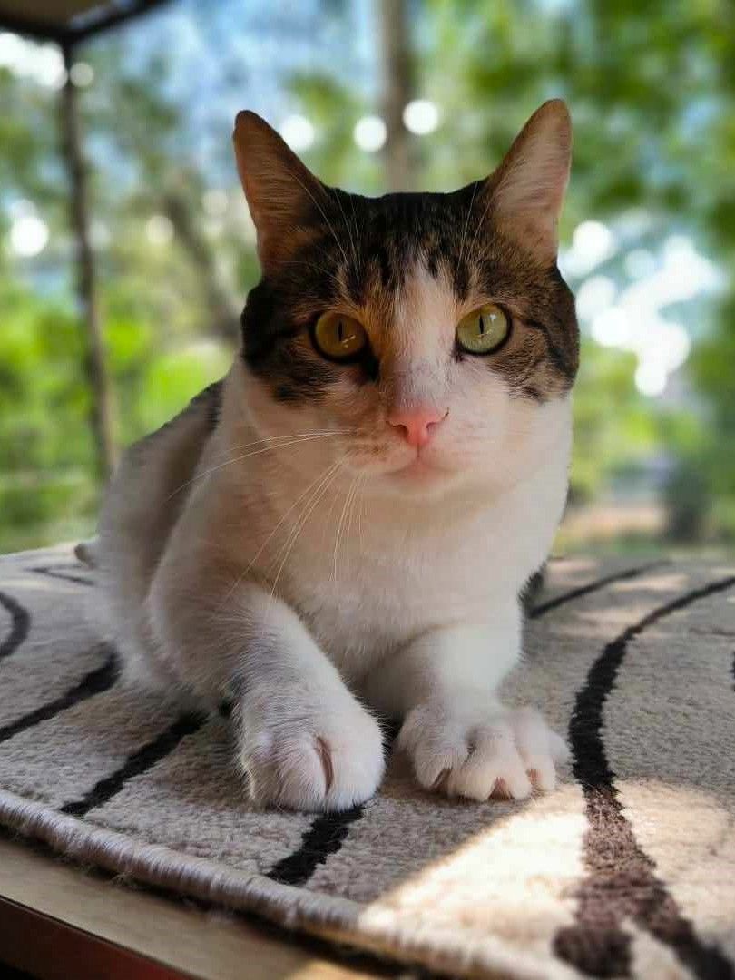 Handicat Marc sucht Menschen mit Herz Handicat Marc sucht Menschen mit Herz