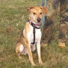 "Figo" sucht besondere Menschen "Figo" sucht besondere Menschen