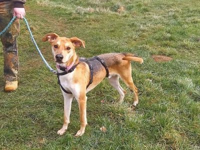 "Figo" sucht besondere Menschen "Figo" sucht besondere Menschen