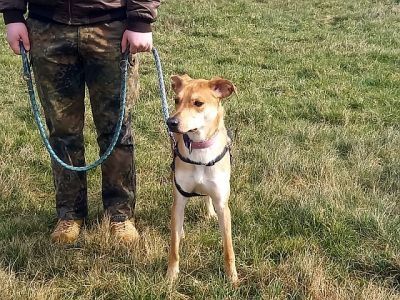 "Figo" sucht besondere Menschen "Figo" sucht besondere Menschen