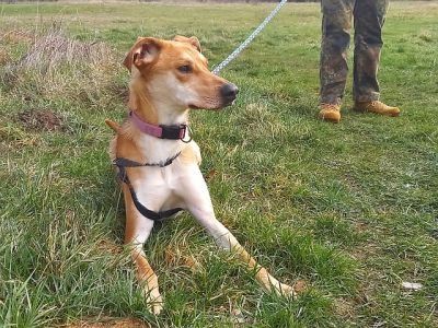 "Figo" sucht besondere Menschen "Figo" sucht besondere Menschen