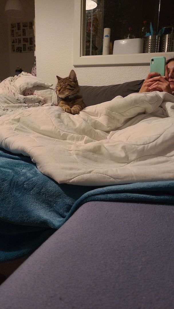 Abu sucht ein Zuhause