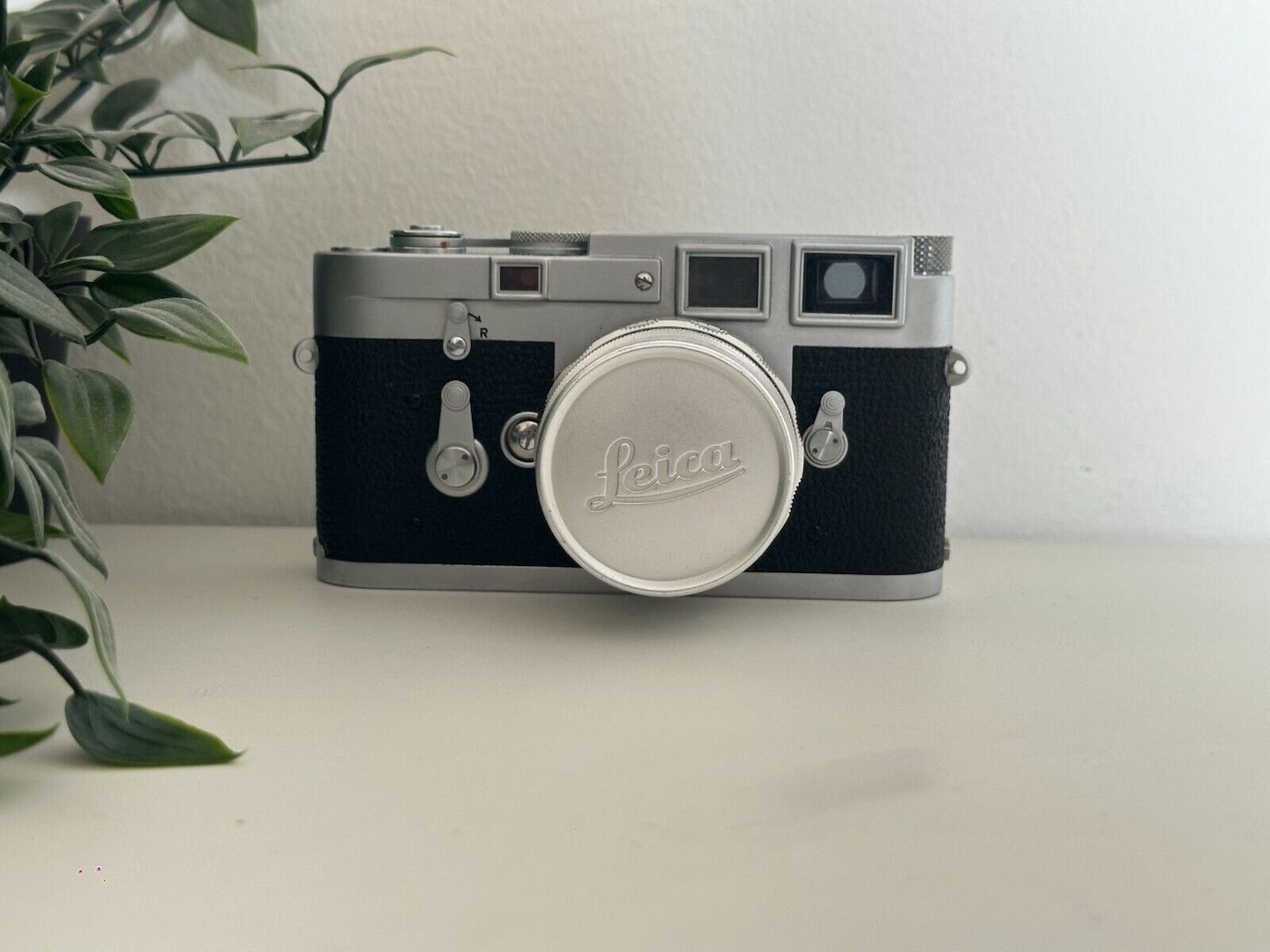 briesewitzcharlie@gmail.com