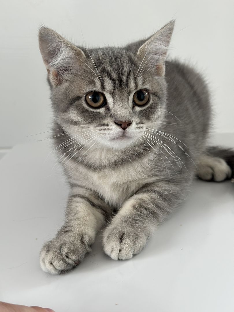 2 Geschwister BKH Jung’s