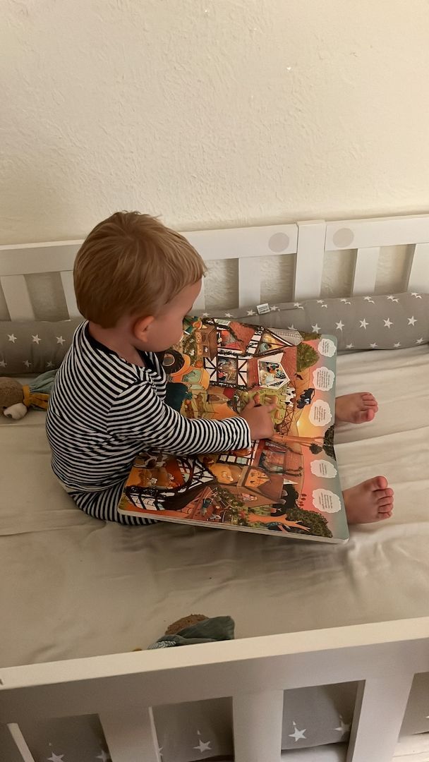 Schweizer Sennenhund Welpen