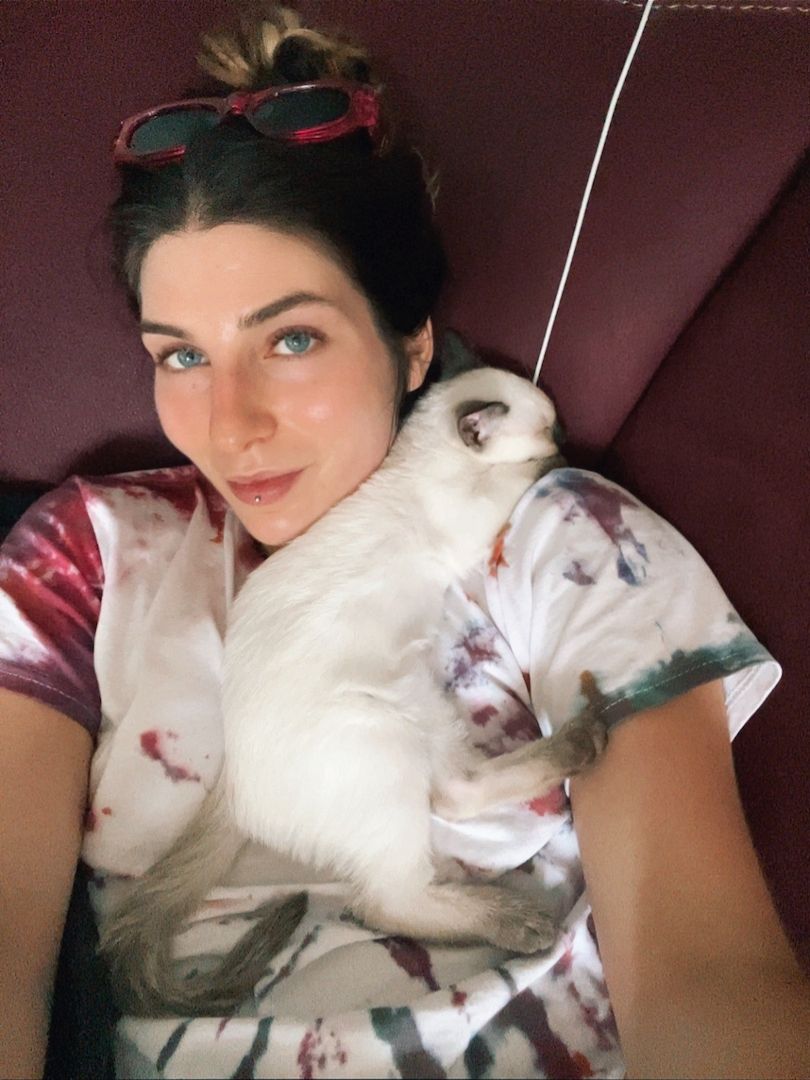 Reinrassiges Siam Kätzchen ab 22.08. zu verkaufen