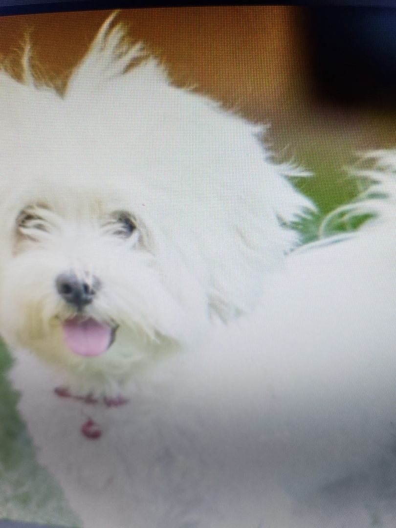 Bildhübsche Susi auf Familiensuche