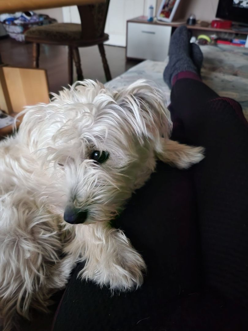 Bildhübsche Susi auf Familiensuche