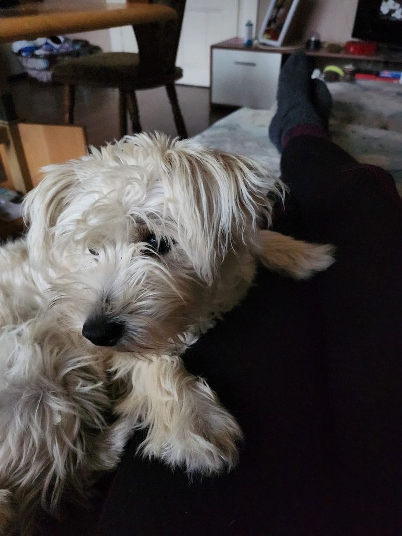 Bildhübsche Susi auf Familiensuche