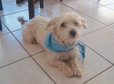 Bildhübsche Susi auf Familiensuche