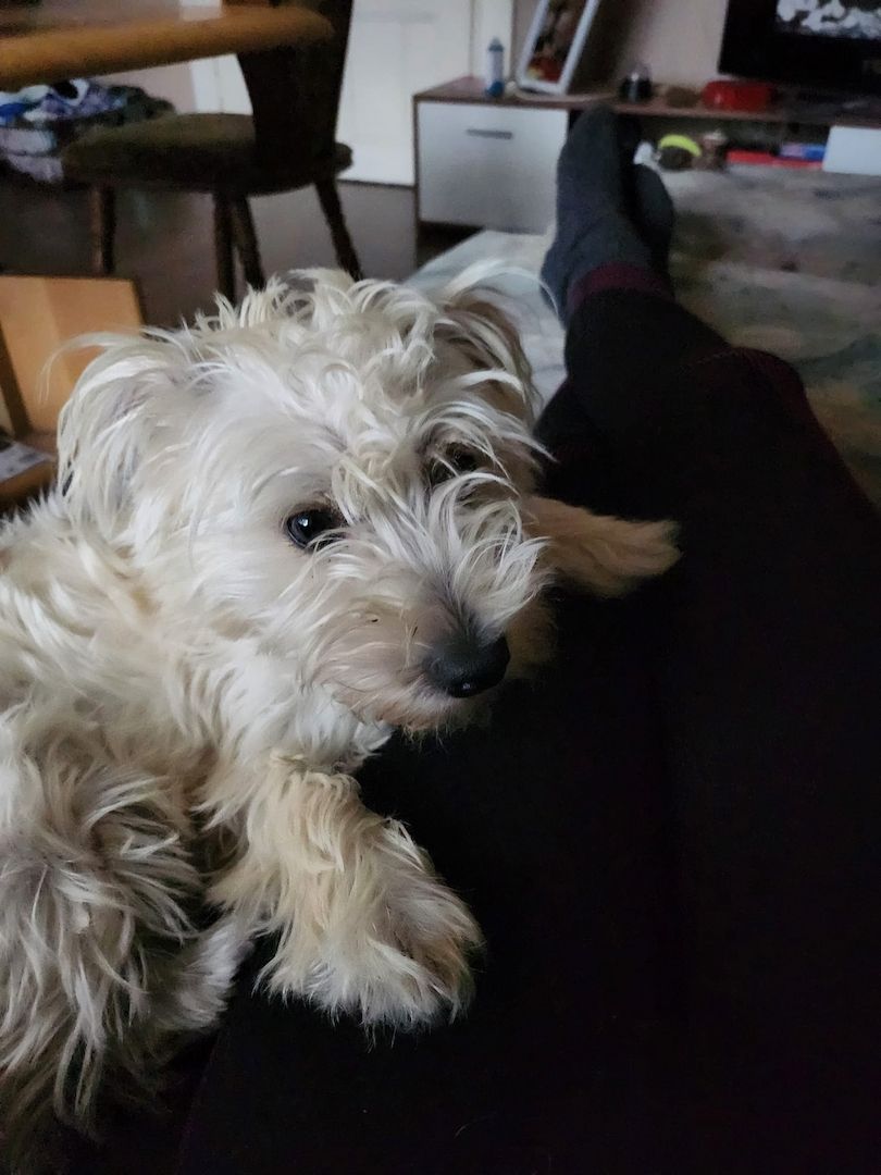 Bildhübsche Susi auf Familiensuche