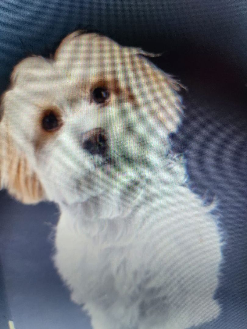 Bildhübsche Susi auf Familiensuche