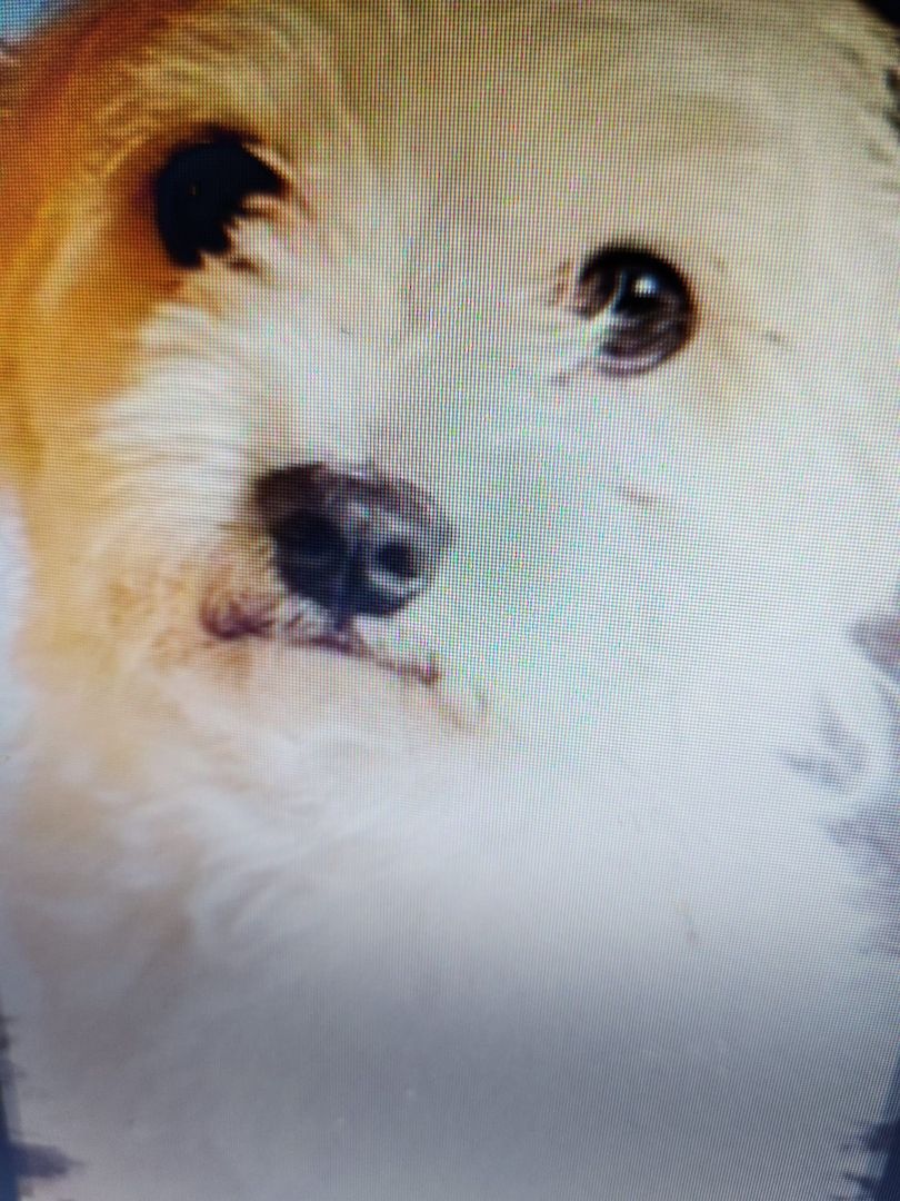 Bildhübsche Susi auf Familiensuche