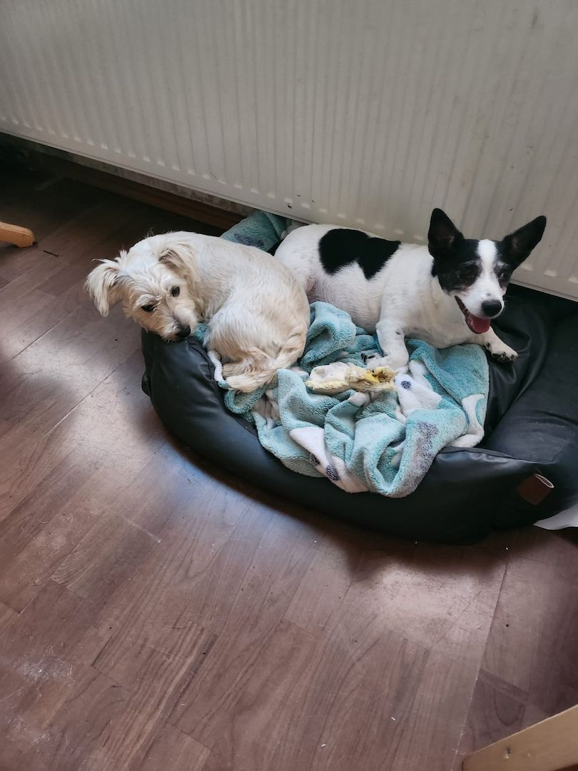 Bildhübsche Susi auf Familiensuche