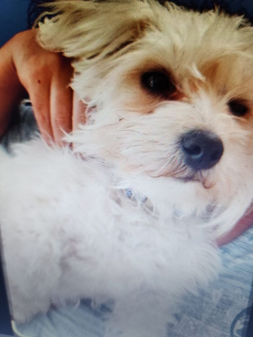 Bildhübsche Susi auf Familiensuche