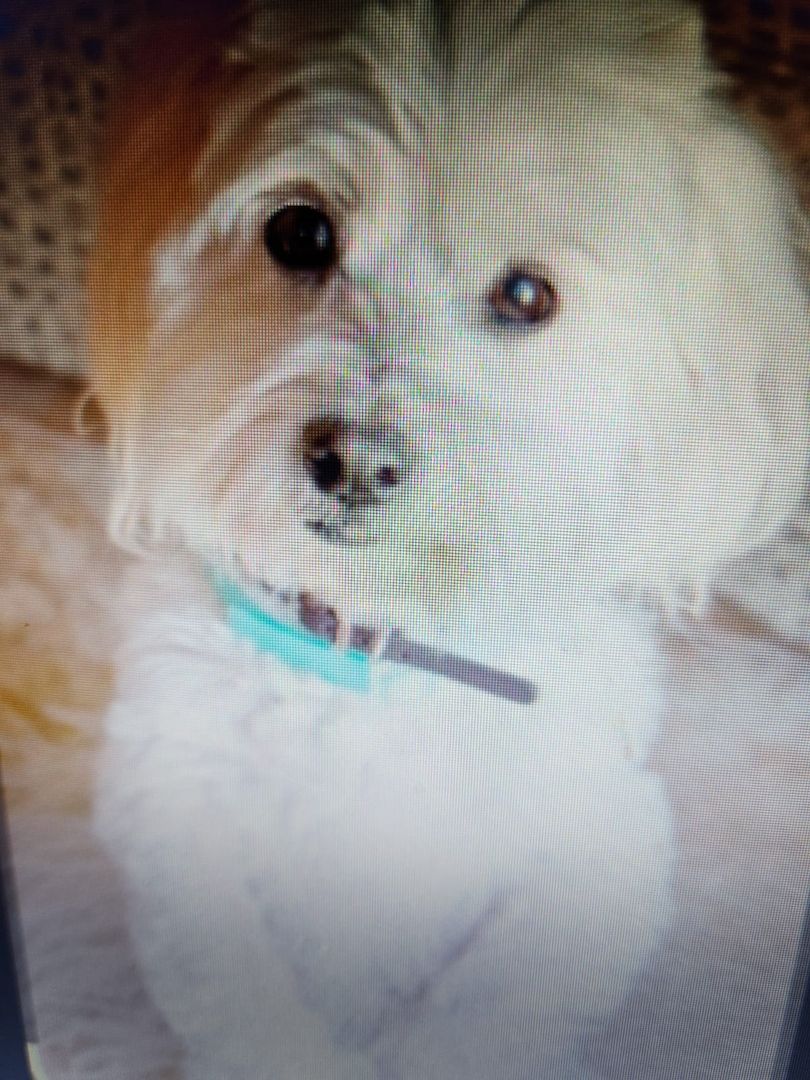 Bildhübsche Susi auf Familiensuche