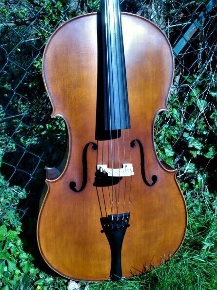 Cello n. "D. TECCHLER ROMAE 1709"