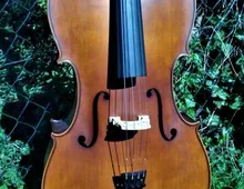 Cello n. "D. TECCHLER ROMAE 1709"