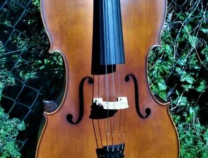 Cello n. "D. TECCHLER ROMAE 1709"