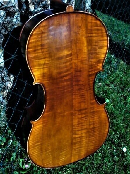 Cello n. "D. TECCHLER ROMAE 1709"