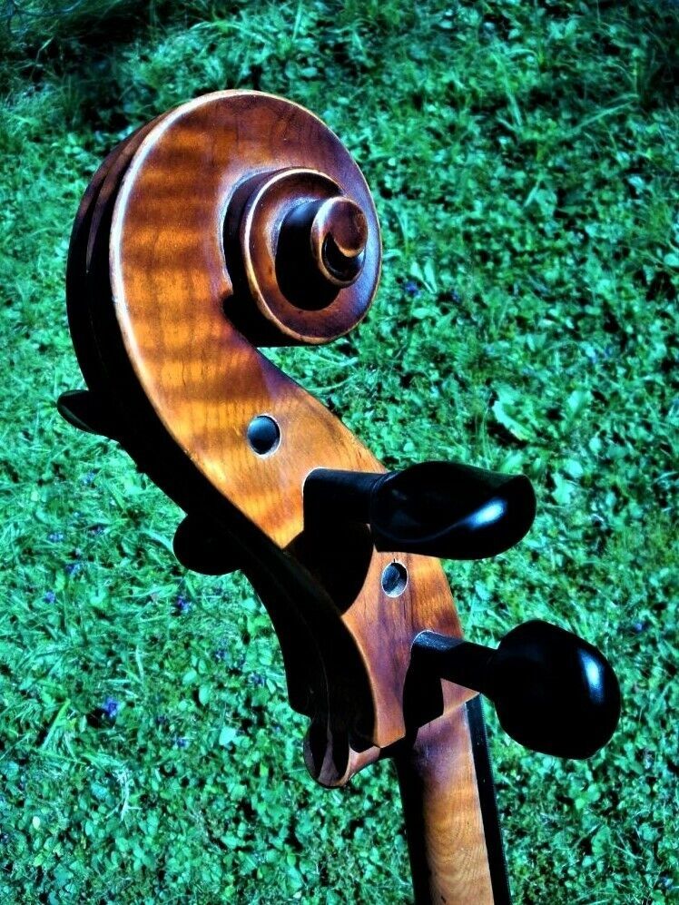 Cello n. "D. TECCHLER ROMAE 1709"