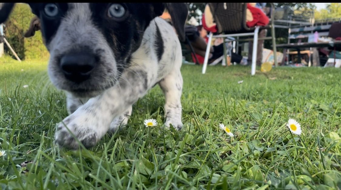 Hallo ich bin Axel Hallo ich bin Axel