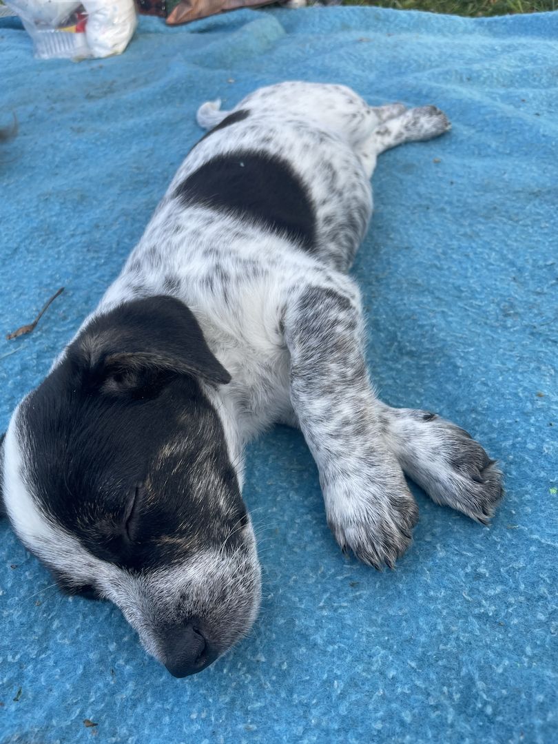 Hallo ich bin Axel Hallo ich bin Axel