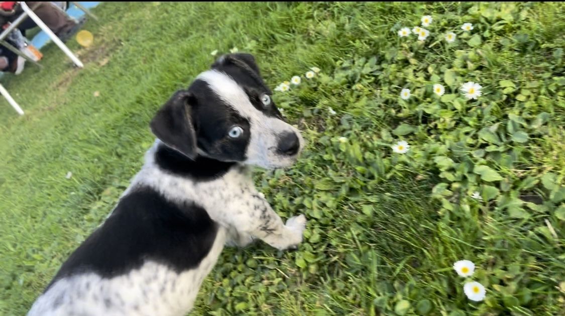 Hallo ich bin Axel Hallo ich bin Axel