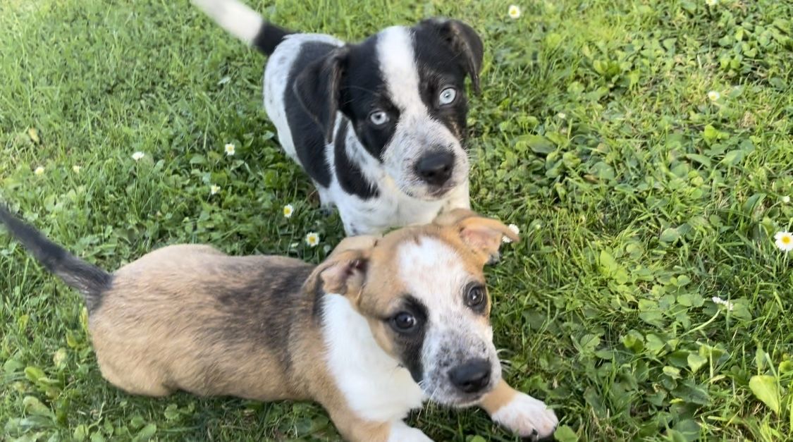 Hallo ich bin Axel Hallo ich bin Axel