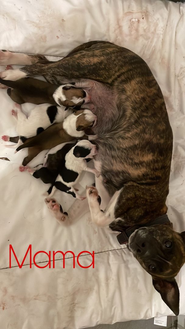 Hallo ich bin Axel Hallo ich bin Axel