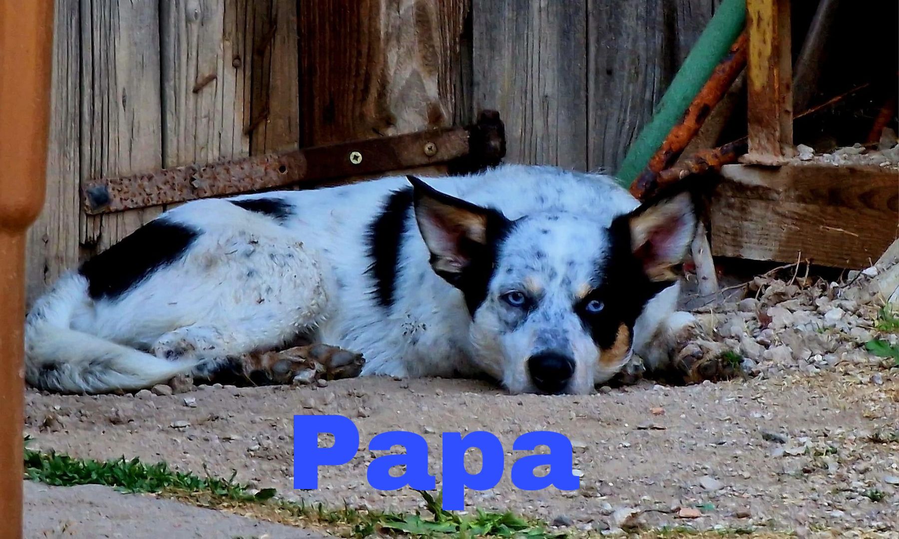 Hallo ich bin Axel Hallo ich bin Axel