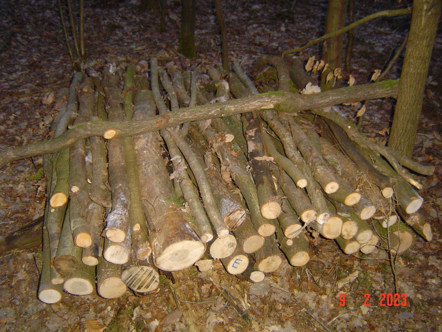 Kaminholz Feuerholz Eiche trocken